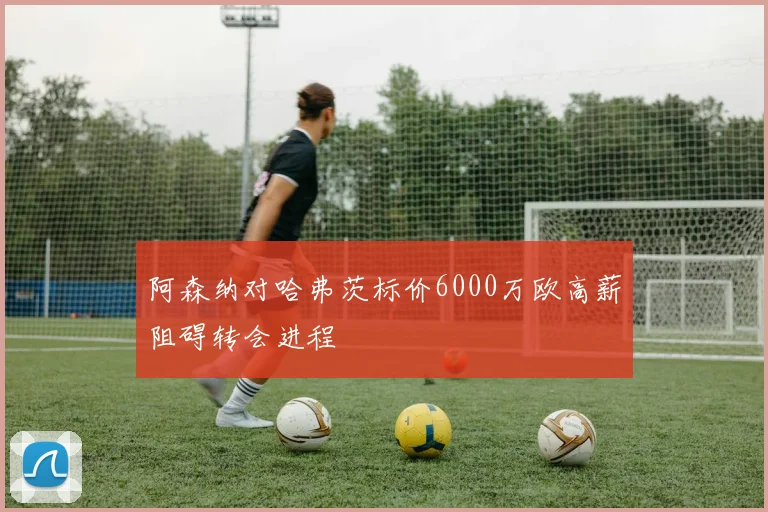 阿森纳对哈弗茨标价6000万欧高薪阻碍转会进程