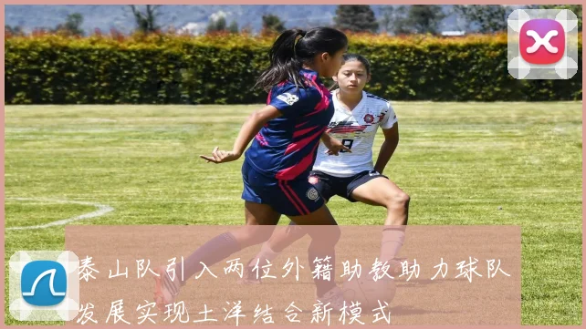 泰山队引入两位外籍助教助力球队发展实现土洋结合新模式